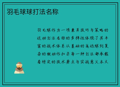 羽毛球球打法名称