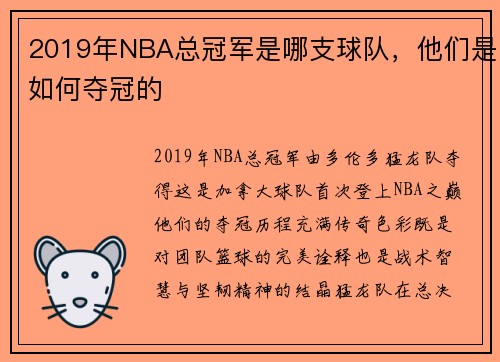 2019年NBA总冠军是哪支球队，他们是如何夺冠的